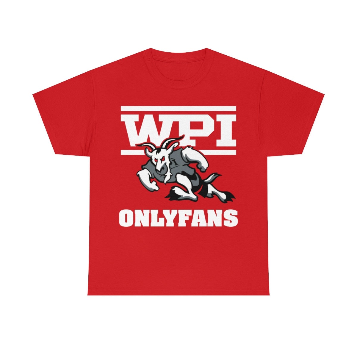 WPI ONLYFANS TShirt ***15 Dollar***